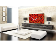 LG 55UP78003LB - 636265 - zdjęcie 20